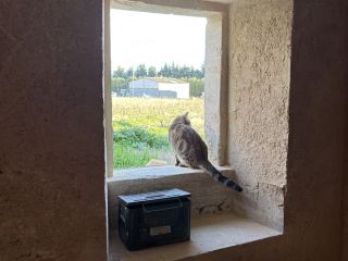 Taille de pierre en position: reprise ébrasement ouverture